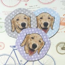 黃金獵犬-大頭杯墊-不織布吸水杯墊~