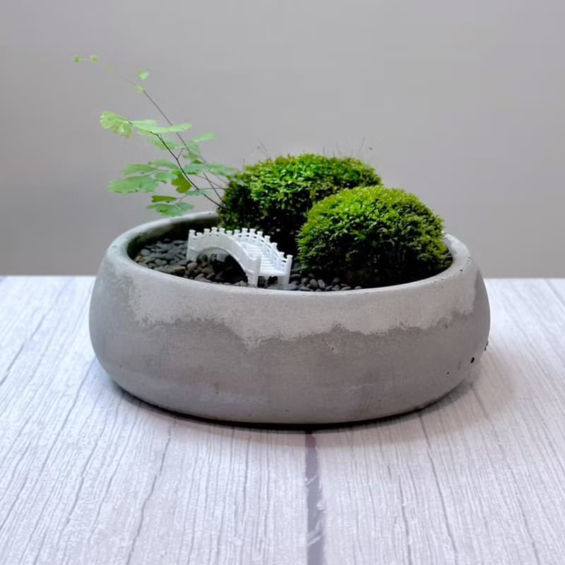 自然苔玉美學 - 石橋