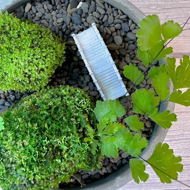 自然苔玉美學 - 石橋