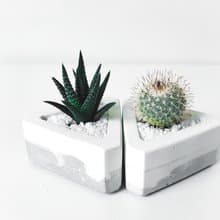 三角洲-多肉植物水泥盆栽