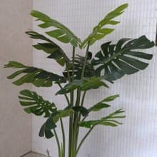 人造植栽/仿真龜背葉/仿真植物/綠化/永不凋零