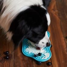 【貓狗用品】PetDreamHouse 爪爪星球口水舔食墊