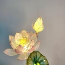 夏荷 • 沾浸藝術花燈【閒逛花間系列】綠白色。小夜燈。生日禮物