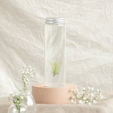 【狐尾藻水草】 療癒系水生植物 植物長大後可以修剪換瓶
