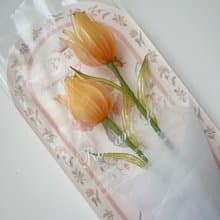 寄語花箋 橘 樹脂鬱金香花飾