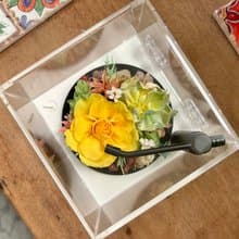 永生花 藍芽音響播放器 黑膠造型