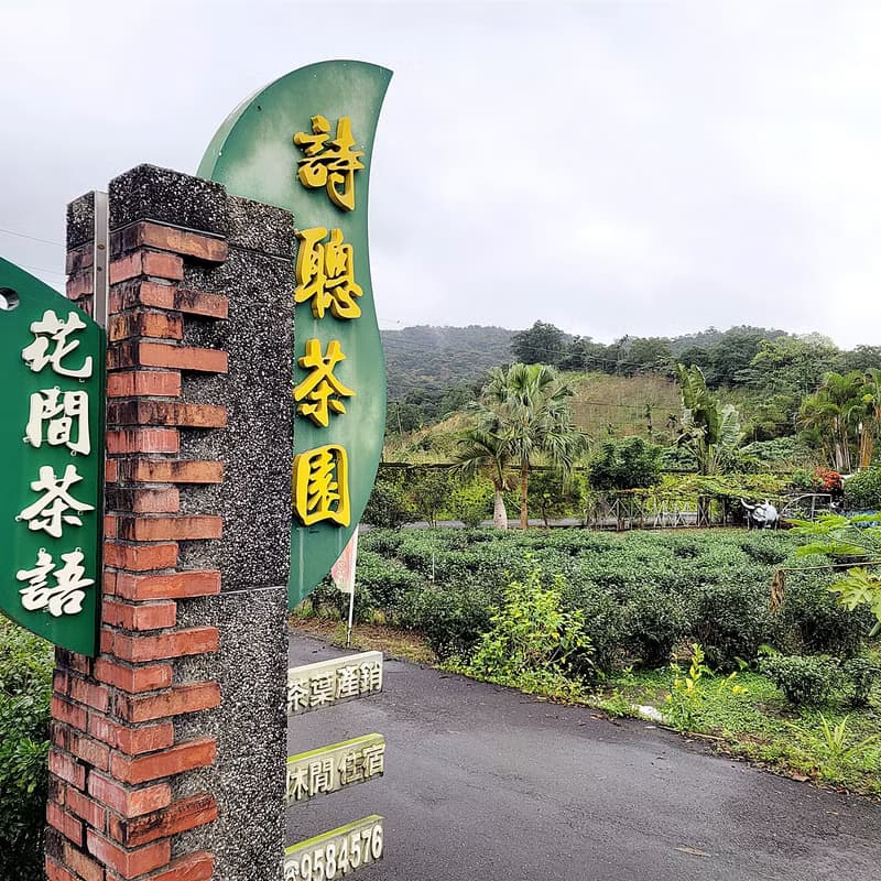 【快速出貨】輕焙烏龍 台灣茶 宜蘭冬山 花間茶語 精選原片茶葉