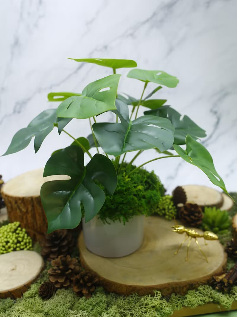 擬真龜背芋 電信蘭香氛植栽 低款/擬真植物/人造盆栽/綠化/佈置