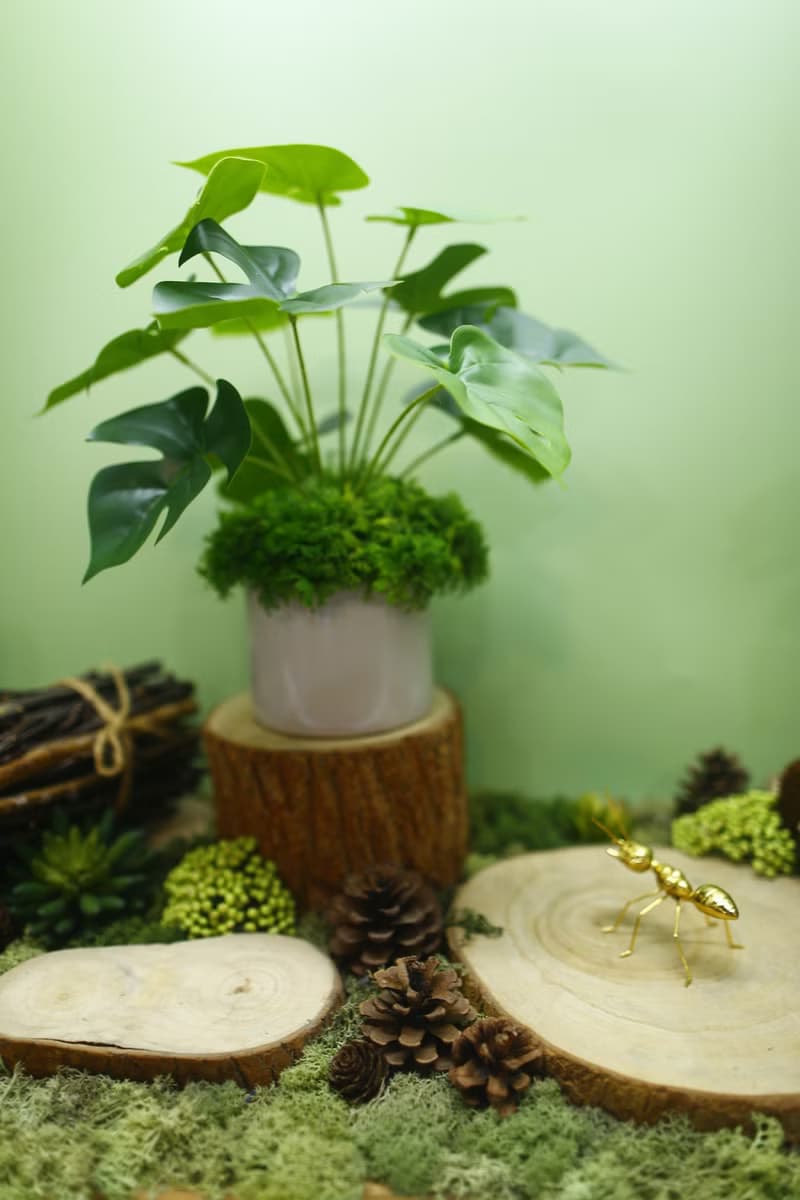 擬真龜背芋 電信蘭香氛植栽 低款/擬真植物/人造盆栽/綠化/佈置