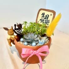 伊布 寶可夢 開幕送禮 多肉組盆 多肉植物 禮品 開幕 創意盆栽