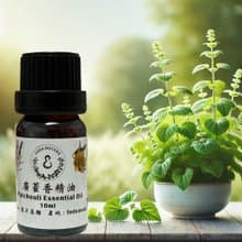 木質調精油 廣霍香精油 100%單方純精油 10ml/50ml 贈精美擴香石
