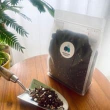栽培介質 I 植人配方觀葉介質