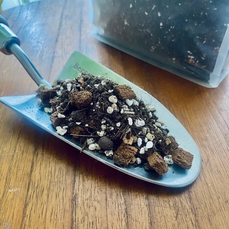 栽培介質 I 植人配方觀葉介質