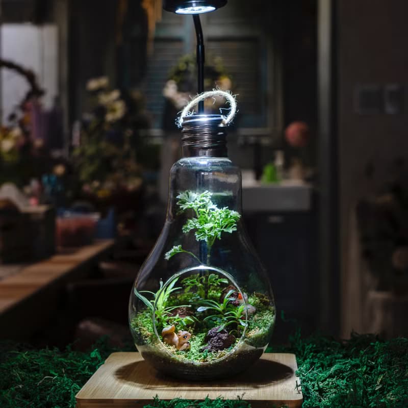 微景觀苔蘚生態燈泡球 | 室內植物 居家布置 苔蘚瓶