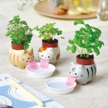 Peropon 新版 吐舌動物自動吸水種植組 貓咪大集合