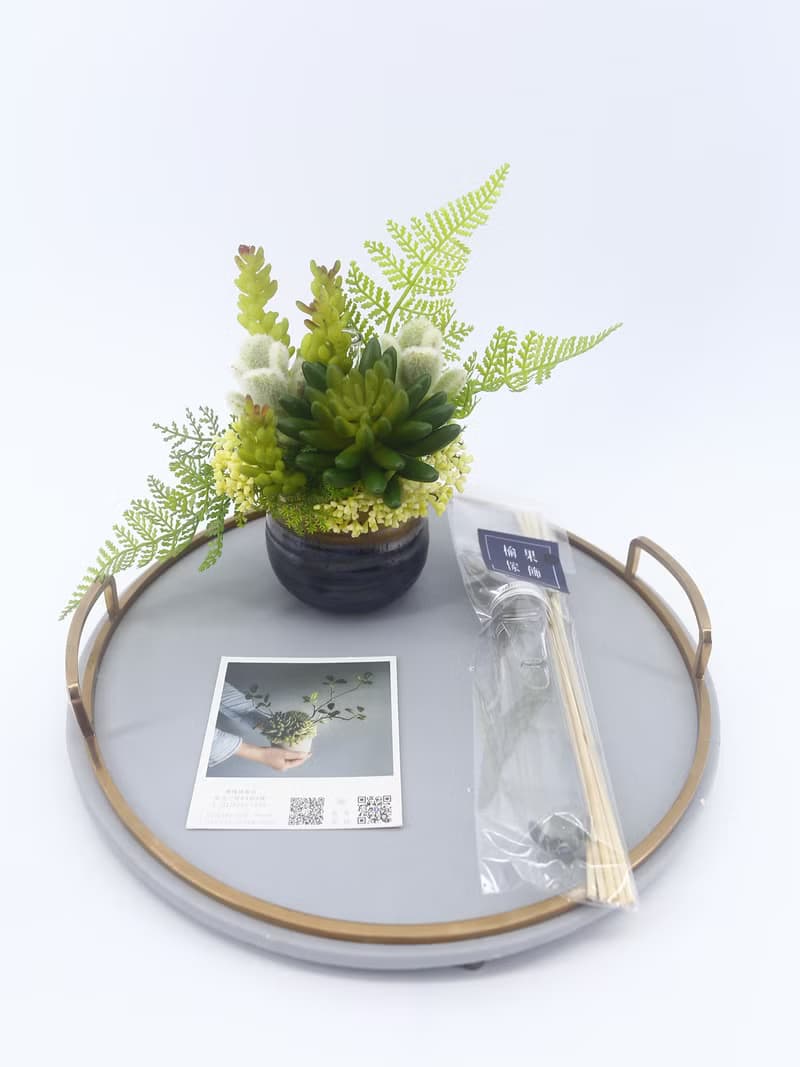 佛手蓮多肉蕨葉日式陶盆香氛植栽/入厝禮/開幕/喬遷/送禮/植栽