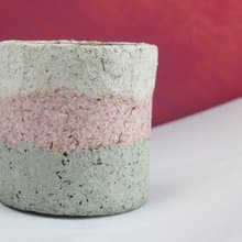 乾燥霓花盆－風味冰淇淋
