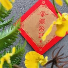 富貴花開 x 平安喜樂 x 台灣安樂 - 新年斗方春聯組 - 6入