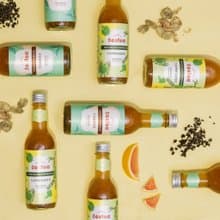 Zestea康普茶經典生烏龍組 300ML*12瓶(無添加、富含益生菌)