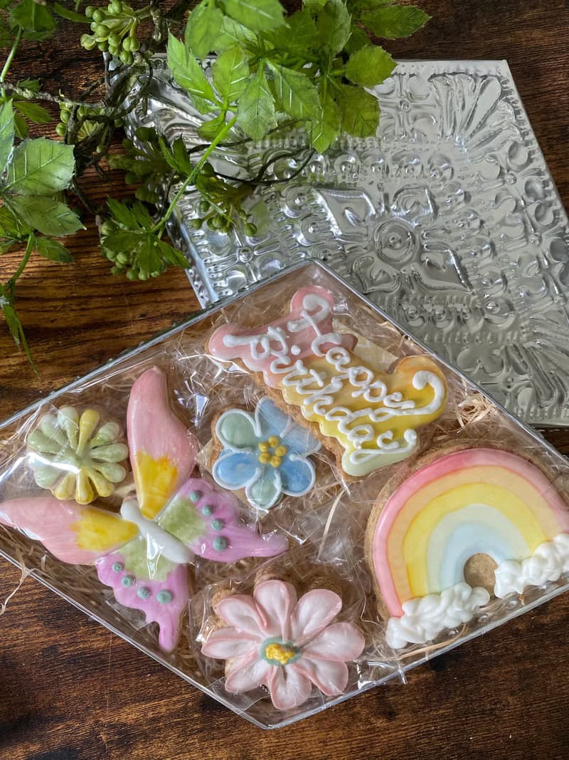 有機糖霜餅乾禮盒 - 彩虹蝴蝶款 / 附精緻鐵盒