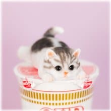 動物泡麵蓋擺飾附磁鐵 / 灰色虎斑貓款 / 母親節  生日禮物