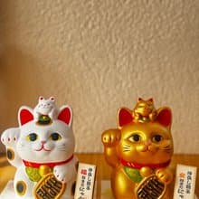 龍虎作 | 親子福招財貓儲金箱