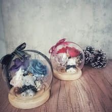 熊熊永生花玻璃罩夜燈款 畢業禮/生日禮/交換禮/聖誕節/情人節