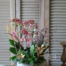 春節商品-財蛇爺蘭花組盆-春節送禮 新年送禮 新春送花