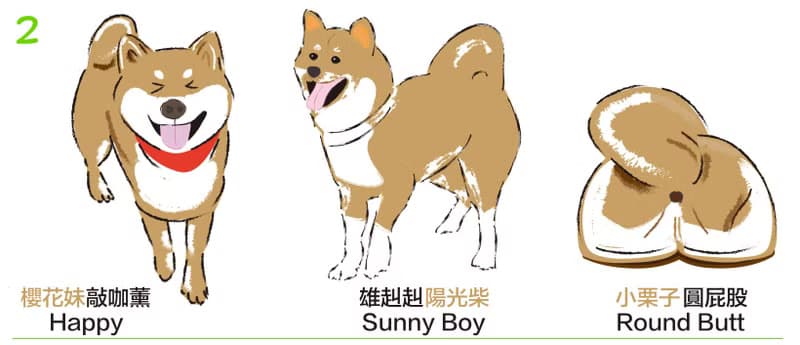 小飯糰  柴柴大型防水貼紙 No.2 柴犬 行李箱貼紙