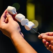 鈦好串-最頂級鈦金屬烤肉串 耐高溫不發霉烤肉串 可重複使用的燒