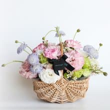 提籃式春天康乃馨盆花