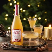 All Good Gene's 繽紛派對康普茶4瓶 / 750ml