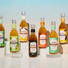 2024限量Zestea康普茶一次喝到全口味組 300ML*12瓶