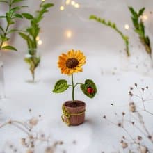 盆中的微型向日葵和瓢蟲鮮花禮物童話花園禮物