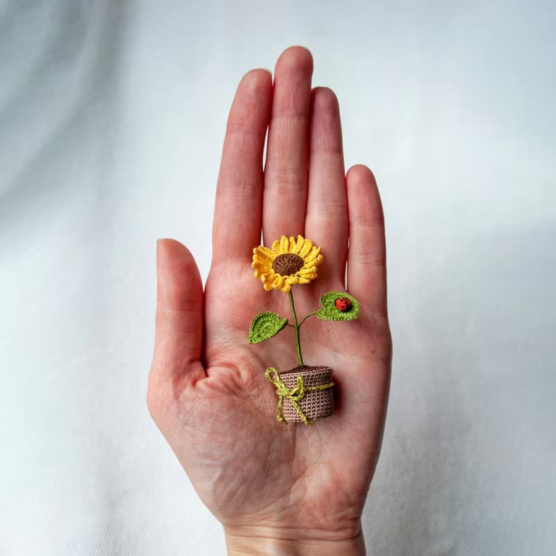 盆中的微型向日葵和瓢蟲鮮花禮物童話花園禮物