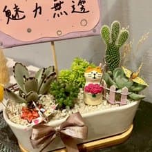 捧花貓 台中 多肉組盆 多肉植物 植栽送禮 母親節送禮 聖誕節 貓