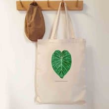 植物 錦緞蔓綠絨 觀葉植物 帆布袋