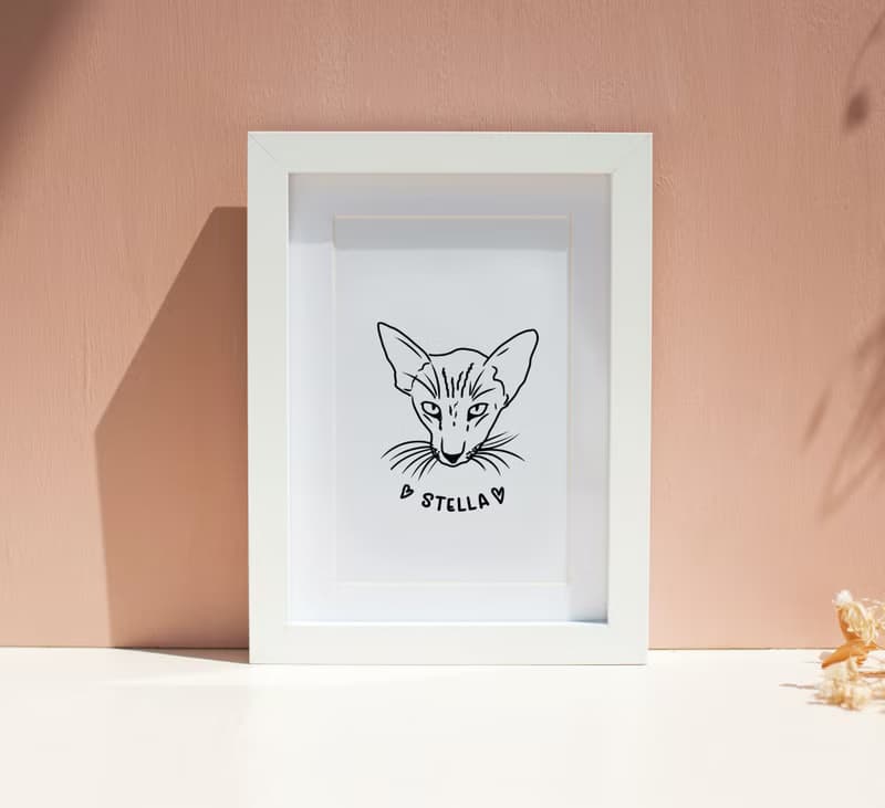 Custom cat portrait (DIGITAL FILE)  Funny handdrawn pet portrait