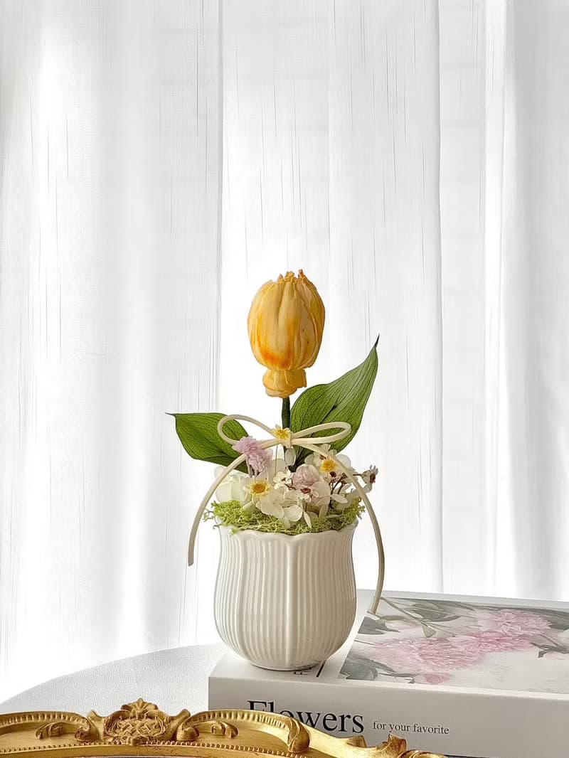 嗜花所 - 鬱金香乾燥花 盆花 情人節花束 乾燥花束 擴香花束