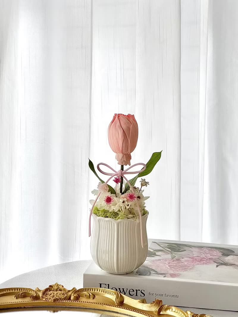 嗜花所 - 鬱金香乾燥花 盆花 情人節花束 乾燥花束 擴香花束