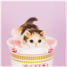 デバリエ ca216m【正規品】猫の置物 三毛猫 カップラーメン マグネット レジン製 ギフト かわいい 誕生日プレゼント