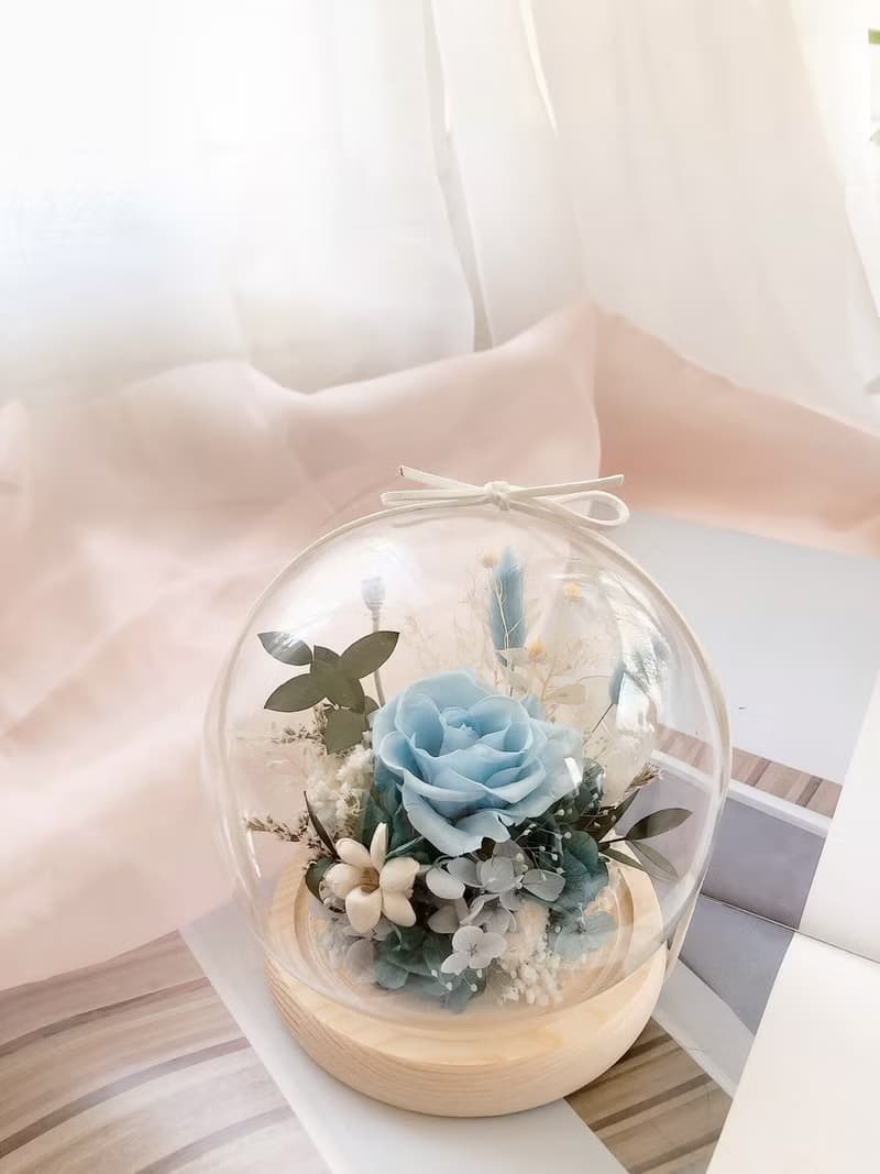 LED 永生花 玻璃罩 永生玫瑰花 乾燥花 紀念日禮物 夜燈 祝賀禮物