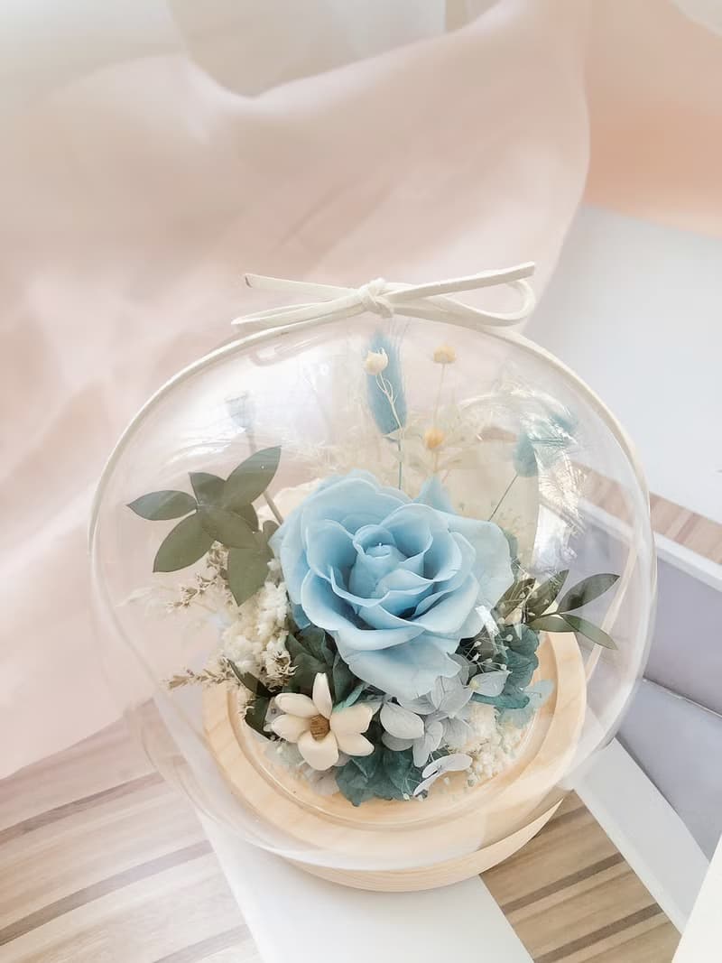 LED 永生花 玻璃罩 永生玫瑰花 乾燥花 紀念日禮物 夜燈 祝賀禮物