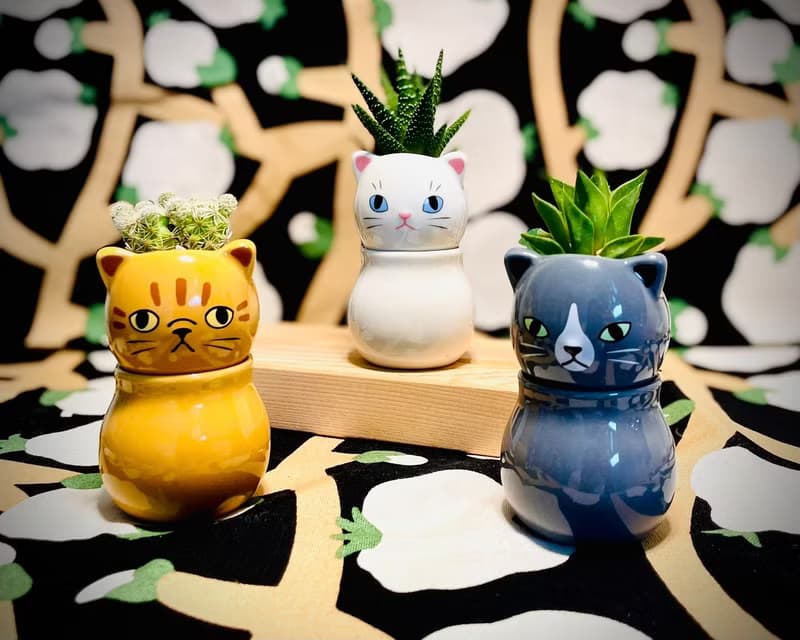 【Pinkoi瘋設祭限定】萌貓樂園_手作植栽陶瓷小盆栽組