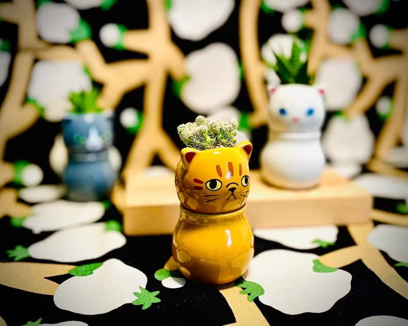 【Pinkoi瘋設祭限定】萌貓樂園_手作植栽陶瓷小盆栽組