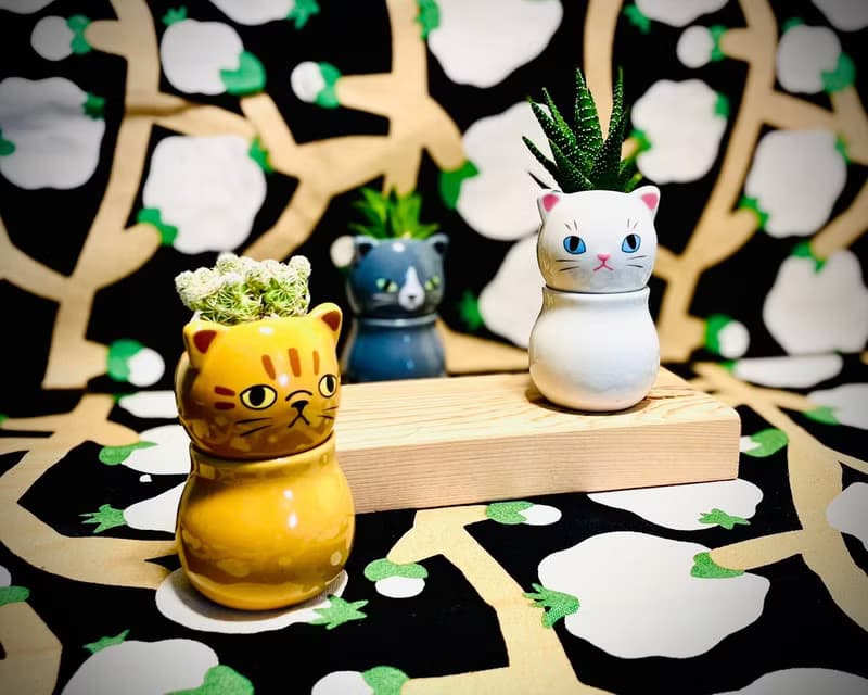 【Pinkoi瘋設祭限定】萌貓樂園_手作植栽陶瓷小盆栽組