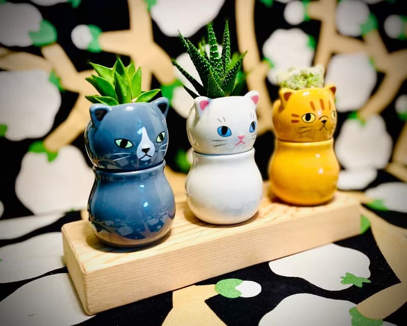【Pinkoi瘋設祭限定】萌貓樂園_手作植栽陶瓷小盆栽組