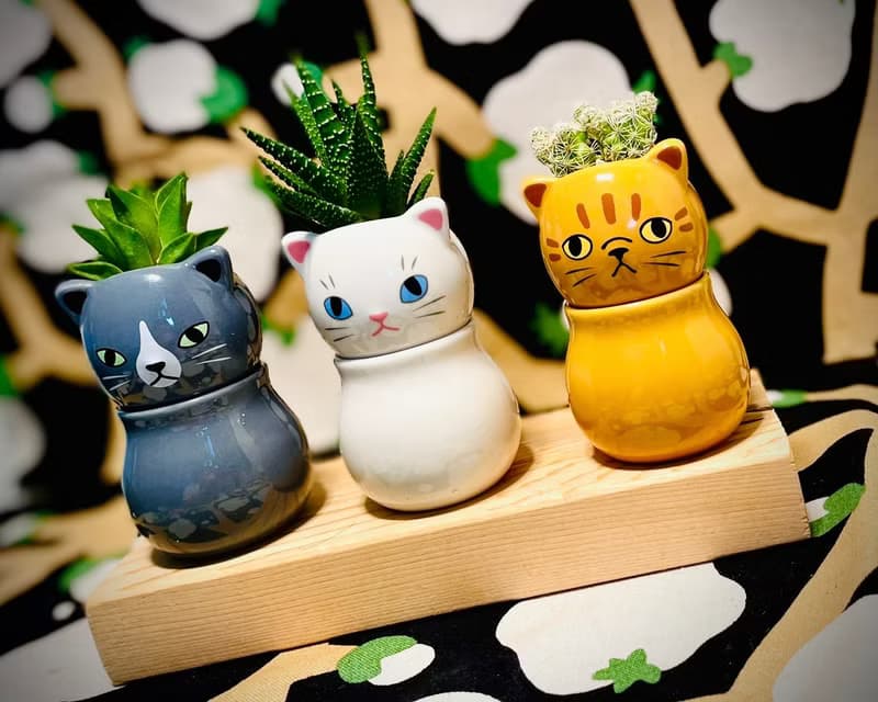 【Pinkoi瘋設祭限定】萌貓樂園_手作植栽陶瓷小盆栽組