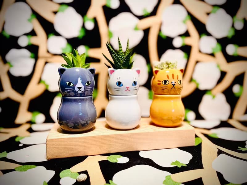 【Pinkoi瘋設祭限定】萌貓樂園_手作植栽陶瓷小盆栽組