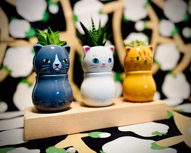 【Pinkoi瘋設祭限定】萌貓樂園_手作植栽陶瓷小盆栽組